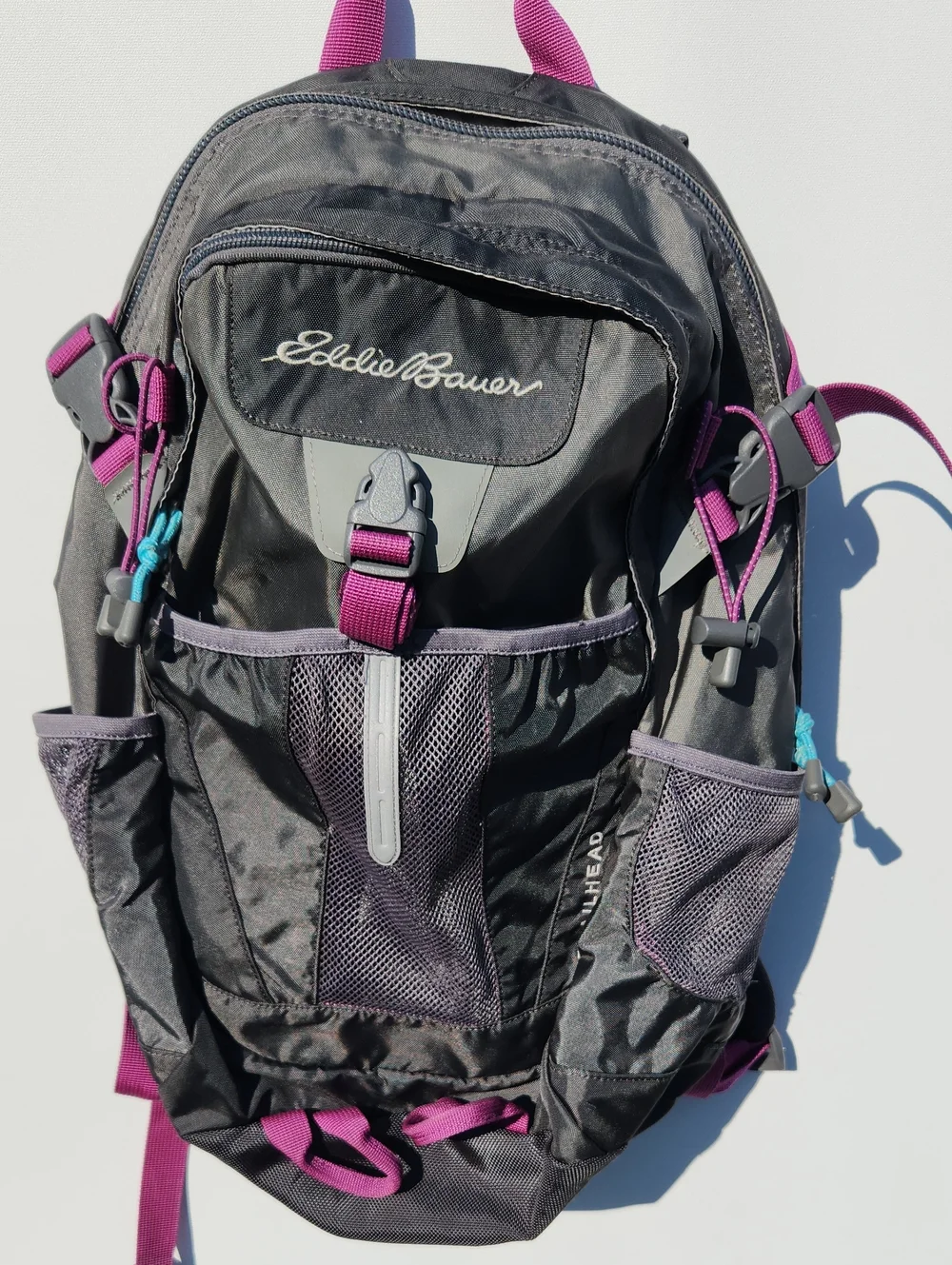 Eddie Bauer Black Backpack with Purple Accents